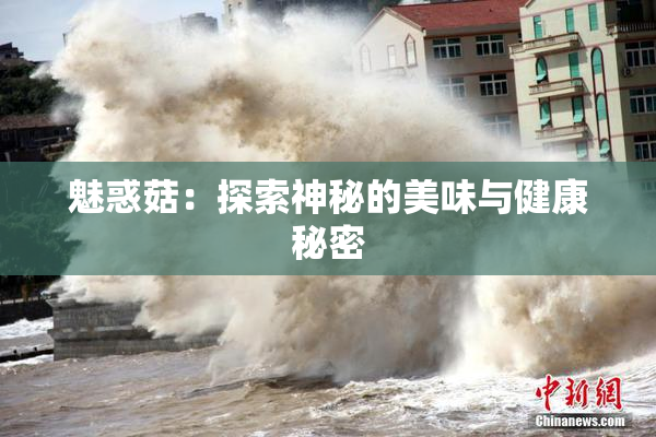 魅惑菇：探索神秘的美味与健康秘密