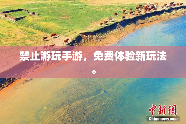 禁止游玩手游，免费体验新玩法。