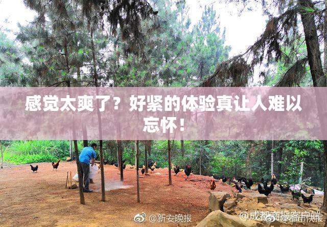 感觉太爽了？好紧的体验真让人难以忘怀！