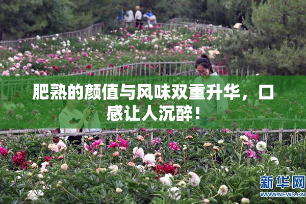 肥熟的颜值与风味双重升华，口感让人沉醉！