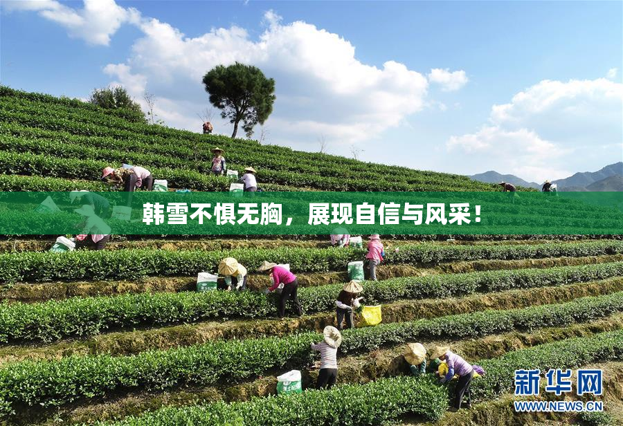 韩雪不惧无胸，展现自信与风采！
