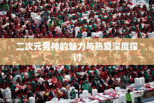 二次元男神的魅力与热爱深度探讨
