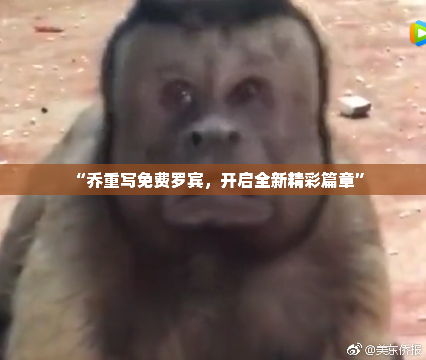 “乔重写免费罗宾，开启全新精彩篇章”