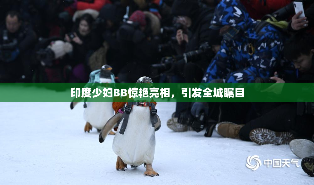 印度少妇BB惊艳亮相，引发全城瞩目