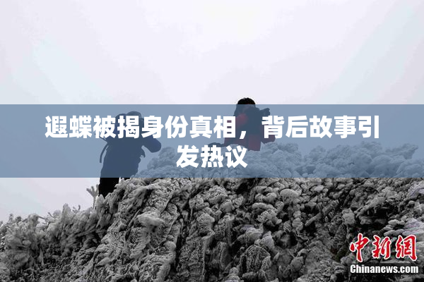 遐蝶被揭身份真相，背后故事引发热议