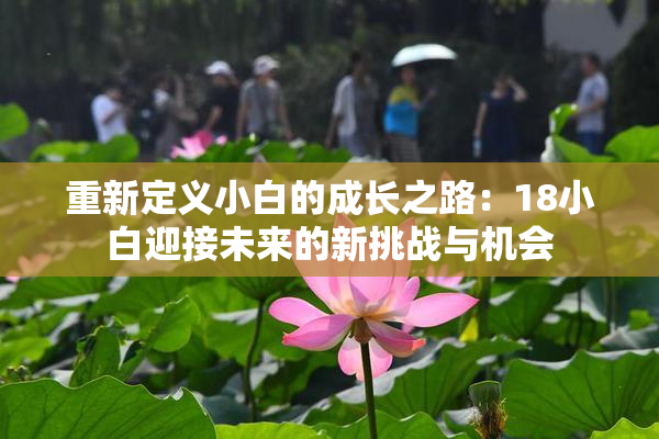 重新定义小白的成长之路：18小白迎接未来的新挑战与机会