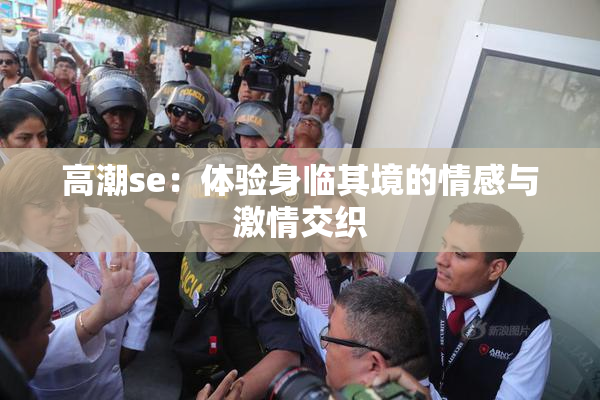 高潮se：体验身临其境的情感与激情交织
