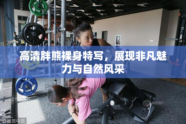 高清胖熊裸身特写，展现非凡魅力与自然风采