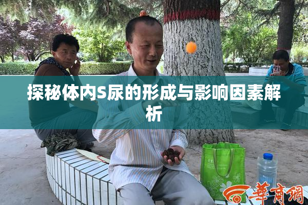 探秘体内S尿的形成与影响因素解析
