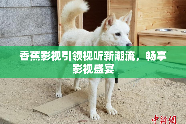 香蕉影视引领视听新潮流，畅享影视盛宴
