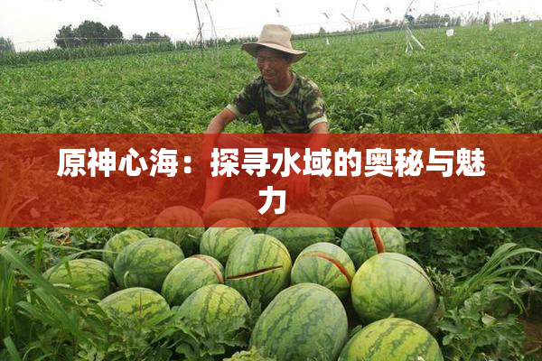 原神心海：探寻水域的奥秘与魅力