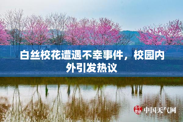 白丝校花遭遇不幸事件，校园内外引发热议