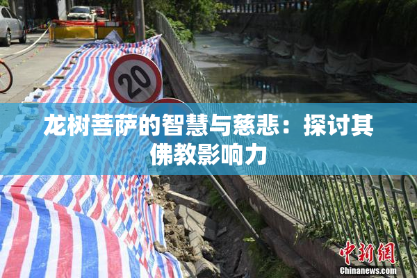 龙树菩萨的智慧与慈悲：探讨其佛教影响力