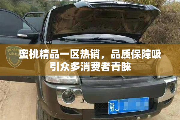 蜜桃精品一区热销，品质保障吸引众多消费者青睐