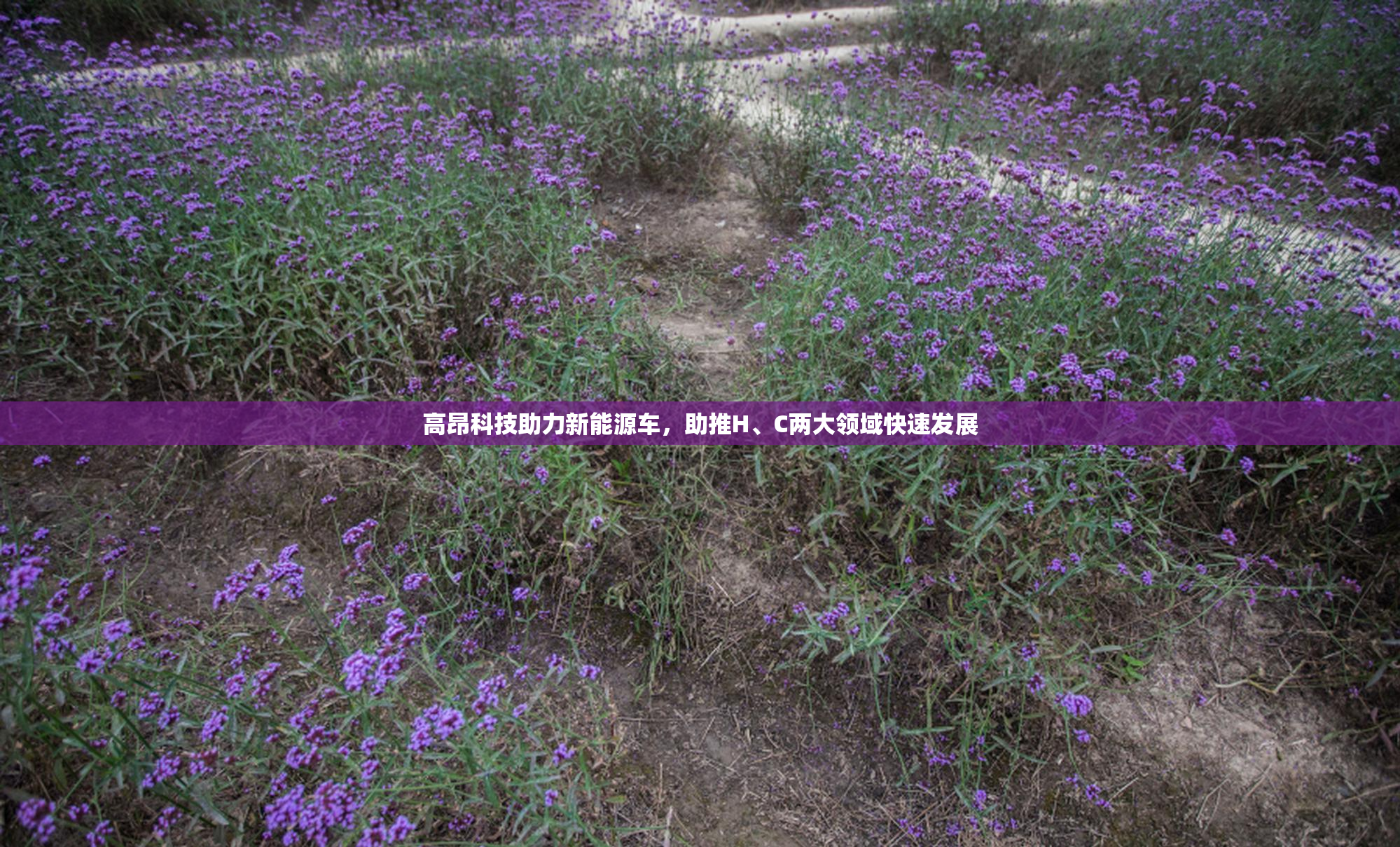高昂科技助力新能源车，助推H、C两大领域快速发展