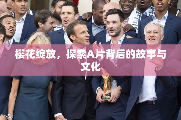 樱花绽放，探索A片背后的故事与文化