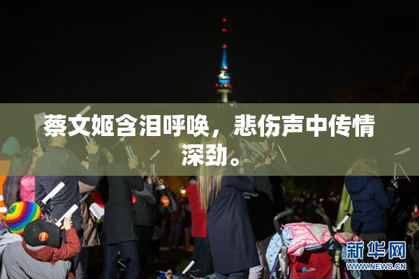蔡文姬含泪呼唤，悲伤声中传情深劲。