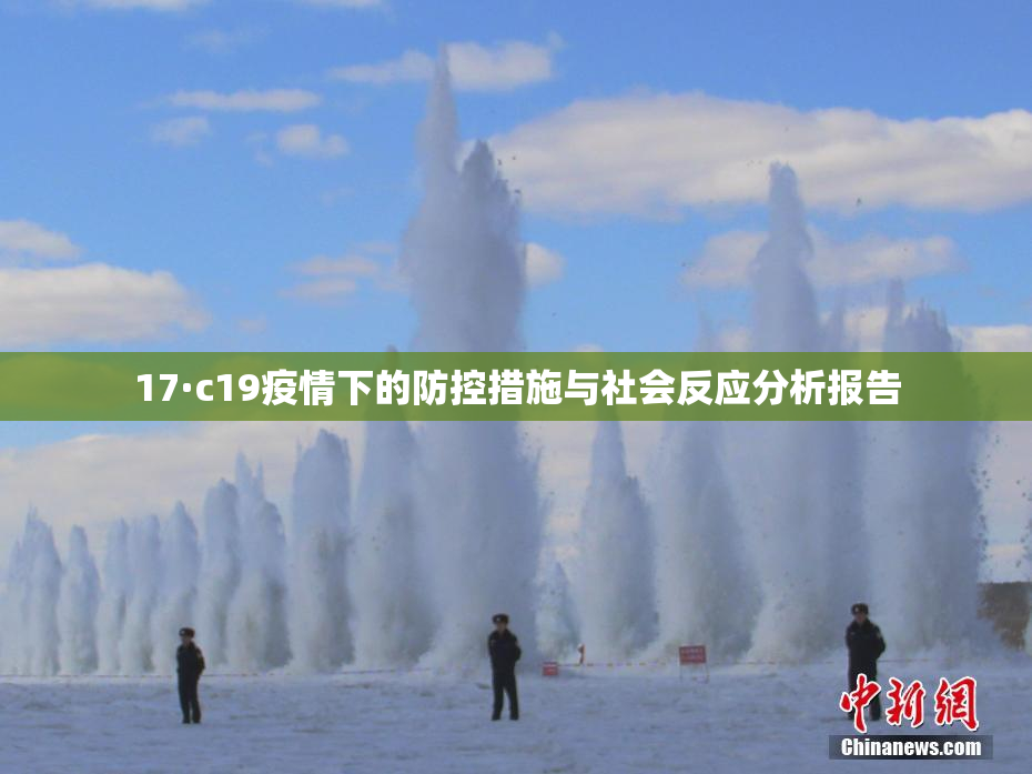 17·c19疫情下的防控措施与社会反应分析报告