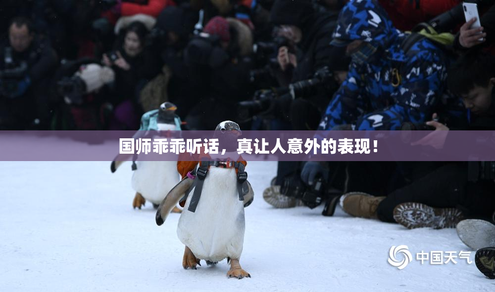 国师乖乖听话，真让人意外的表现！
