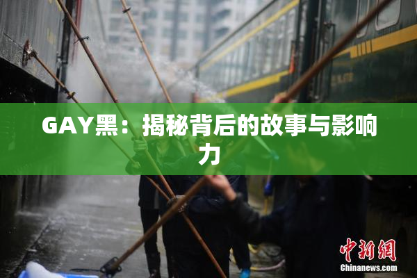 GAY黑：揭秘背后的故事与影响力
