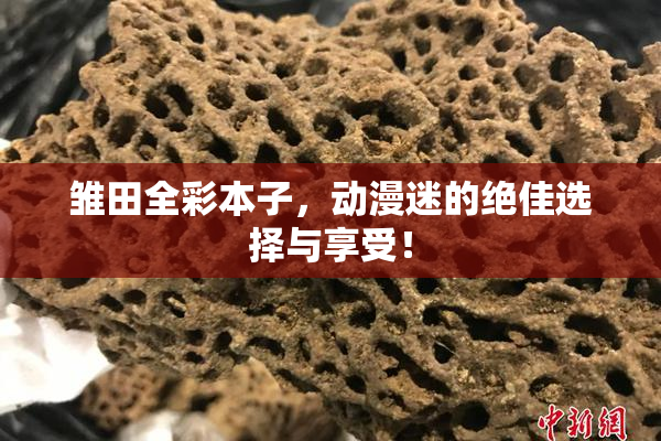 雏田全彩本子，动漫迷的绝佳选择与享受！