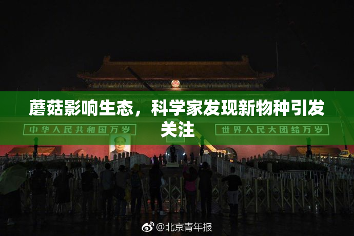 蘑菇影响生态，科学家发现新物种引发关注