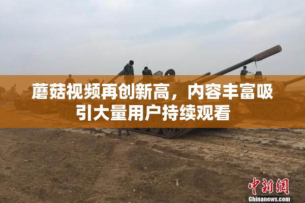 蘑菇视频再创新高，内容丰富吸引大量用户持续观看