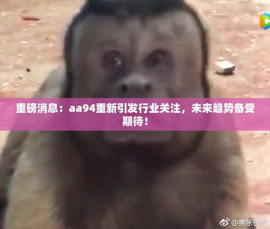 重磅消息：aa94重新引发行业关注，未来趋势备受期待！