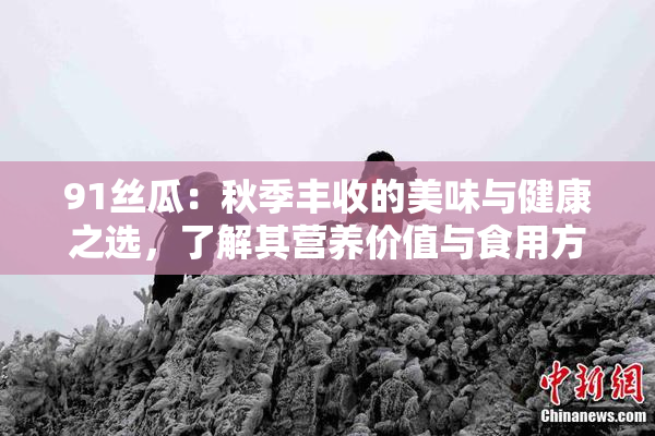 91丝瓜：秋季丰收的美味与健康之选，了解其营养价值与食用方法！