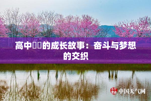 高中妺妺的成长故事：奋斗与梦想的交织