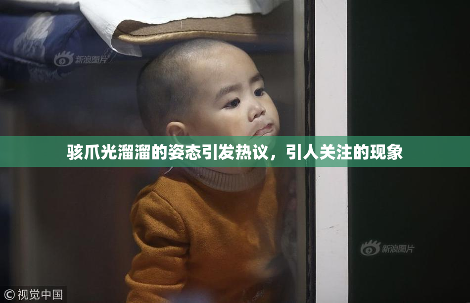 骇爪光溜溜的姿态引发热议，引人关注的现象