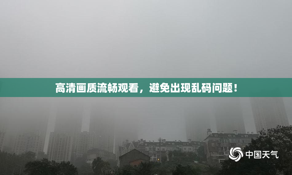 高清画质流畅观看，避免出现乱码问题！
