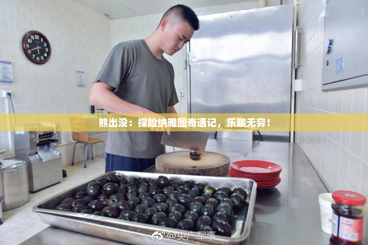 熊出没：探险纳雅图奇遇记，乐趣无穷！