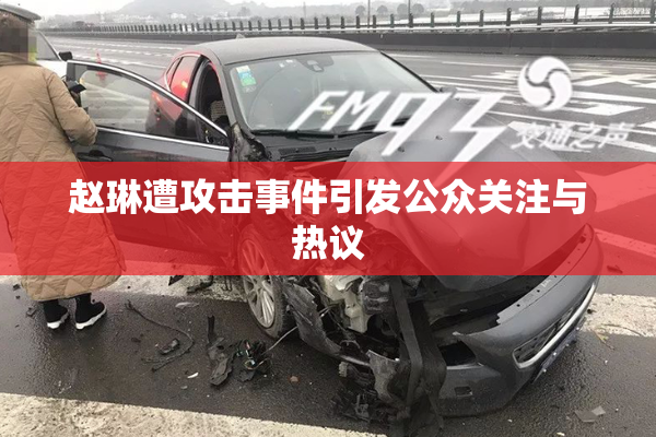 赵琳遭攻击事件引发公众关注与热议