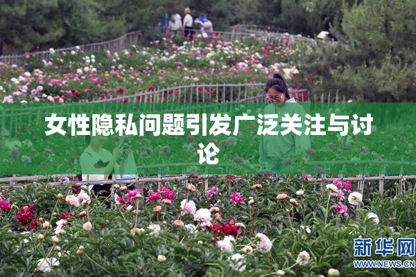 女性隐私问题引发广泛关注与讨论