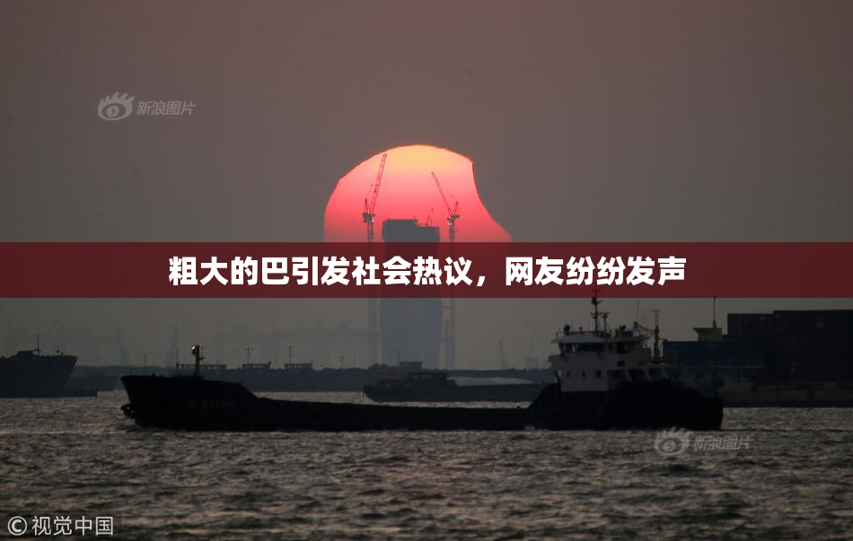粗大的巴引发社会热议，网友纷纷发声