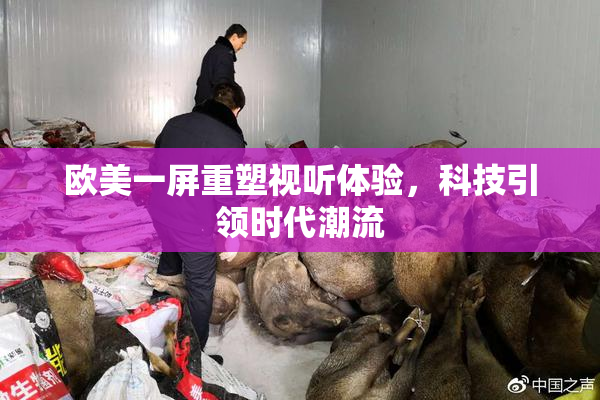 欧美一屏重塑视听体验，科技引领时代潮流
