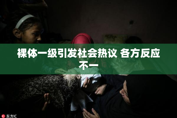 裸体一级引发社会热议 各方反应不一