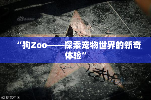 “狗Zoo——探索宠物世界的新奇体验”