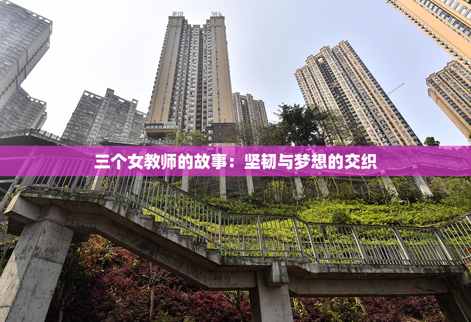 三个女教师的故事：坚韧与梦想的交织