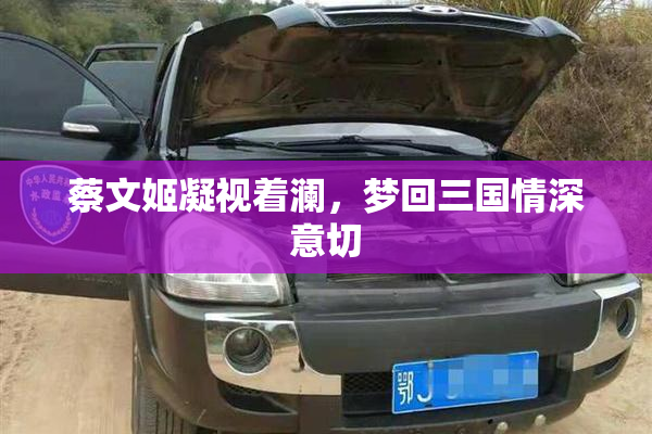 蔡文姬凝视着澜，梦回三国情深意切