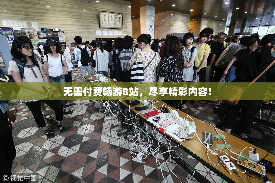无需付费畅游B站，尽享精彩内容！
