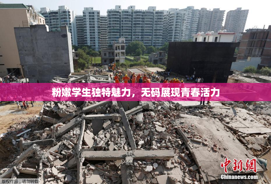 粉嫩学生独特魅力，无码展现青春活力