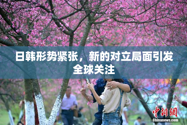 日韩形势紧张，新的对立局面引发全球关注