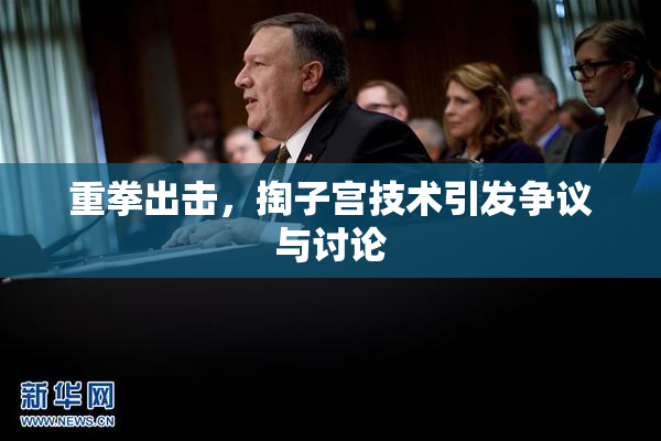 重拳出击，掏子宫技术引发争议与讨论