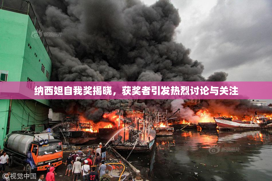 纳西妲自我奖揭晓，获奖者引发热烈讨论与关注