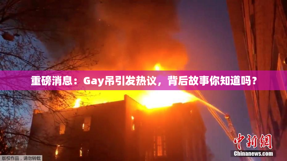 重磅消息：Gay吊引发热议，背后故事你知道吗？