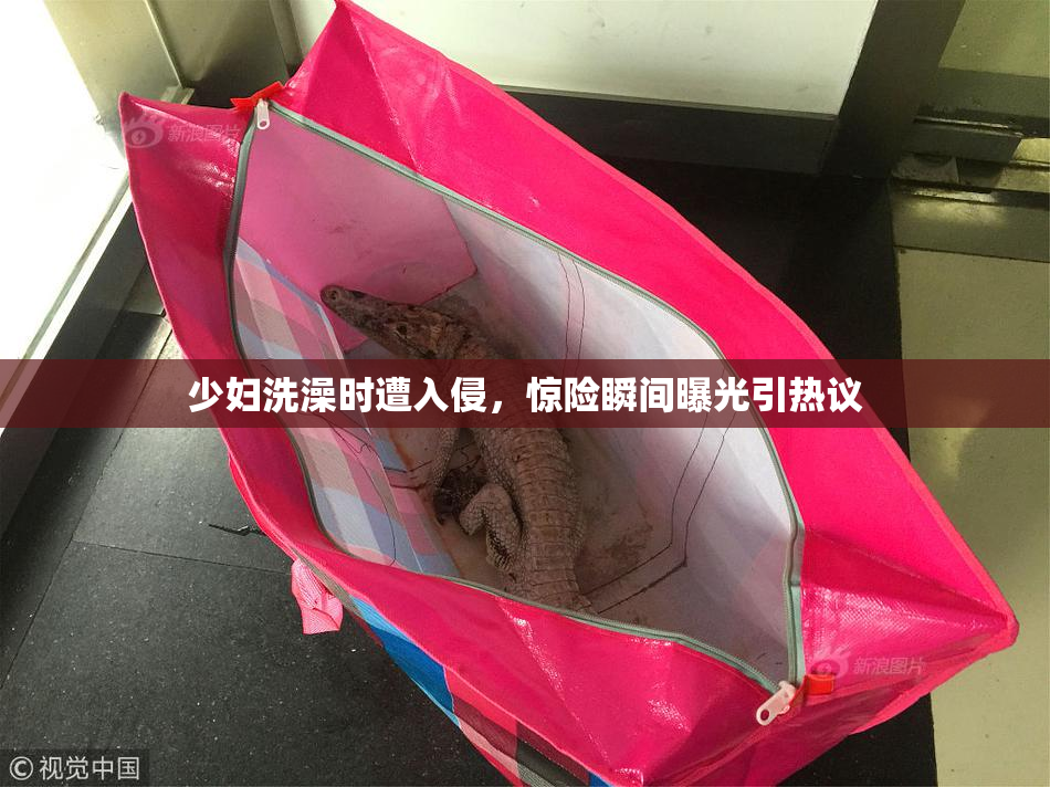 少妇洗澡时遭入侵，惊险瞬间曝光引热议
