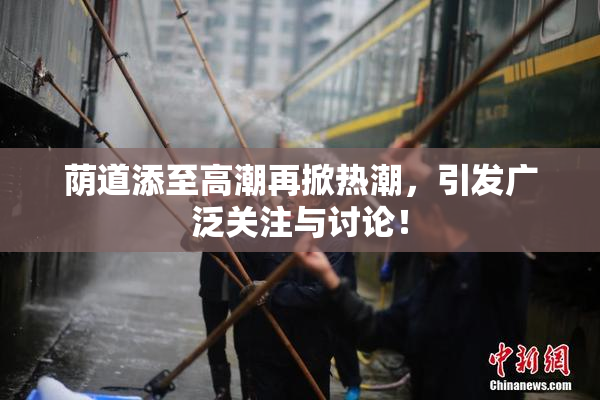 荫道添至高潮再掀热潮，引发广泛关注与讨论！