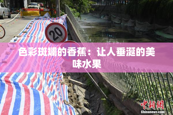 色彩斑斓的香蕉：让人垂涎的美味水果